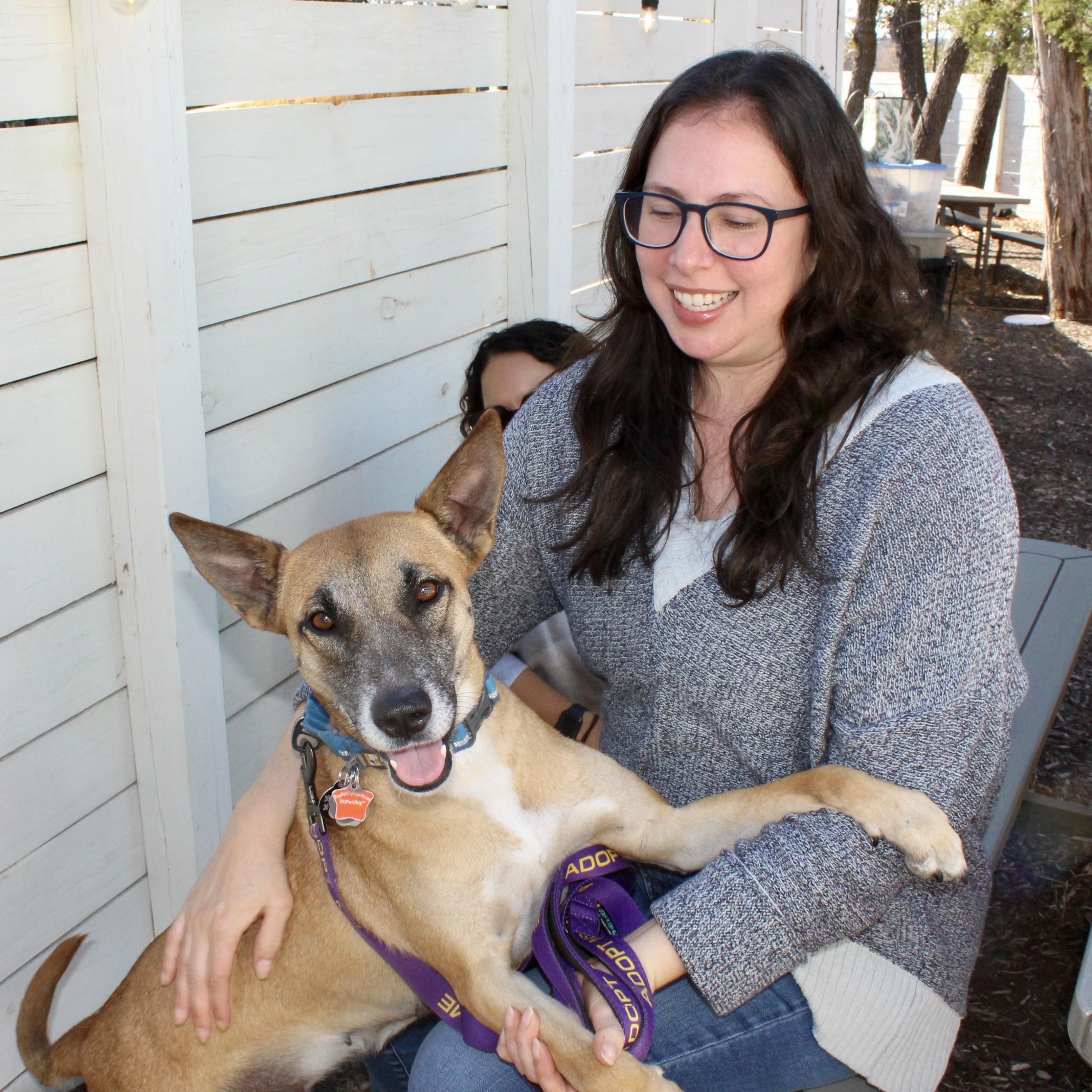 Yogurt, a Adoptable Shepherd in Friday Harbor, WA image 4/6