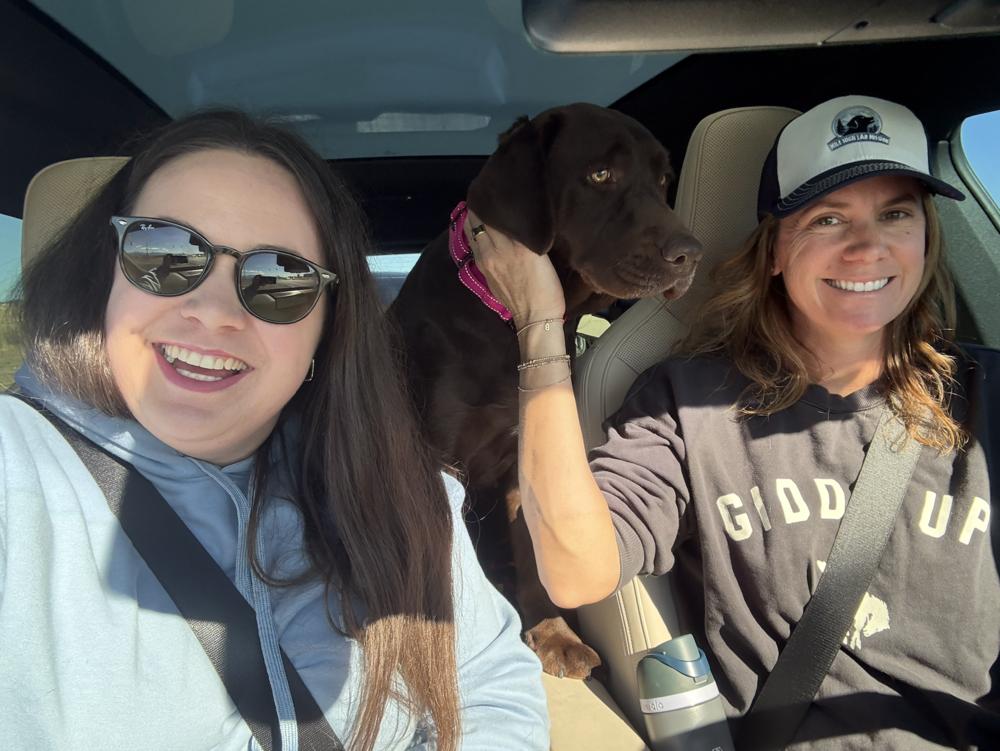 Enlarge Tavares / Joann, a Adoptable Labrador Retriever in Broomfield, CO image 3/6