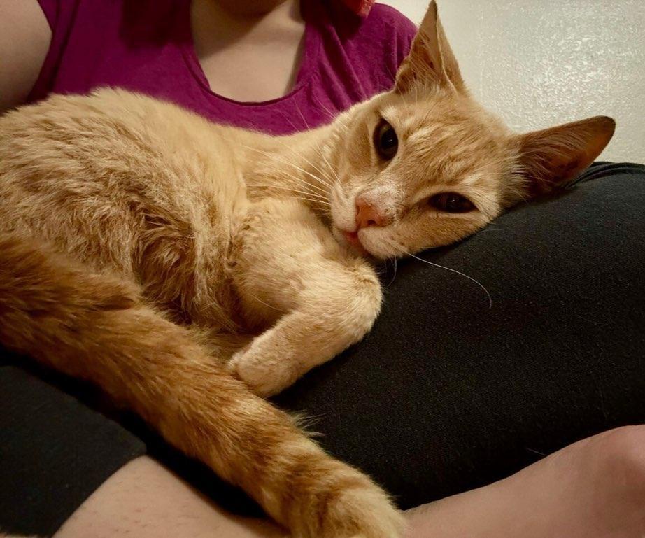 Milo