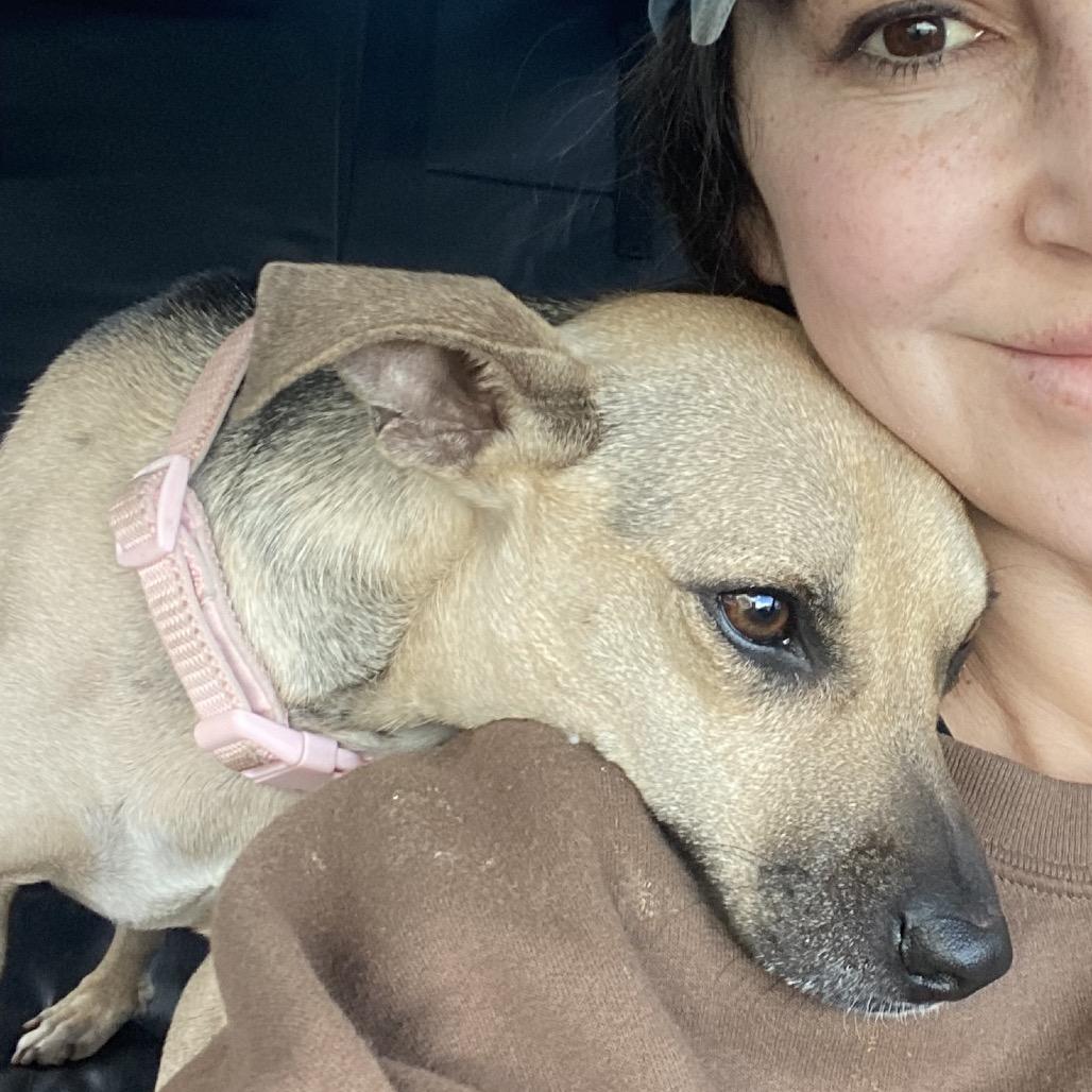 Zara, a Adoptable mixed breed in Escondido, CA image 4/6