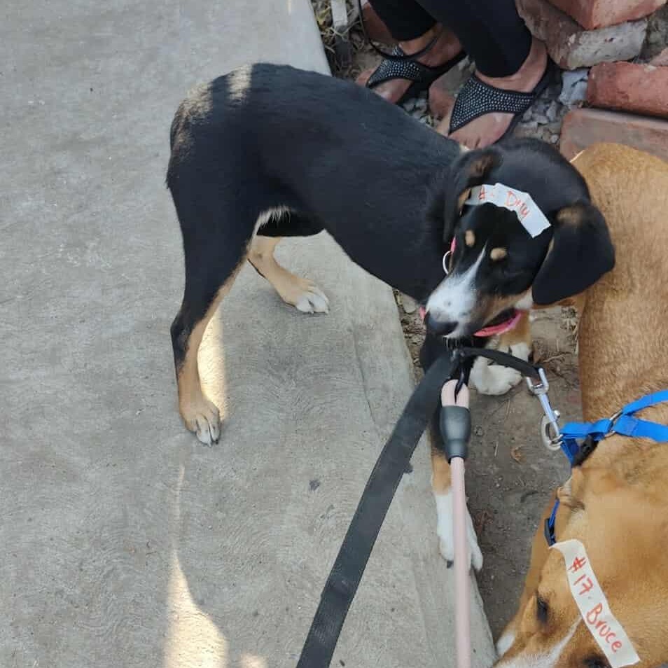 Dory   Months thumbnail 3