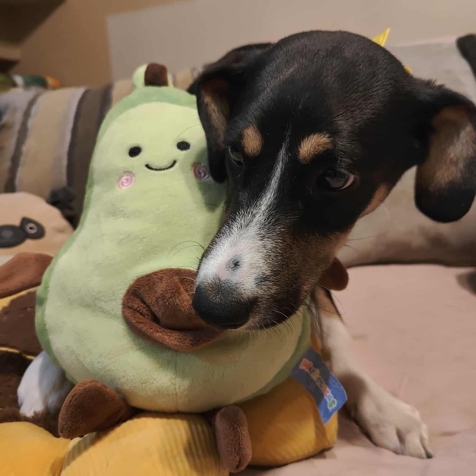 Dory   Months thumbnail 4