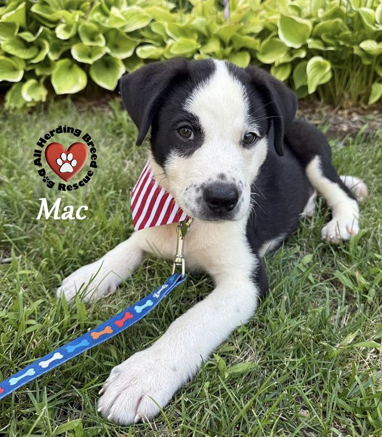 Mac