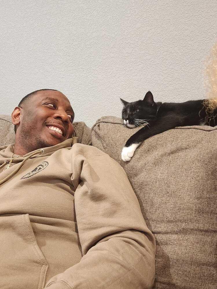 Jasper, a Adoptable Domestic Short Hair in Virginia Beach, VA image 5/5