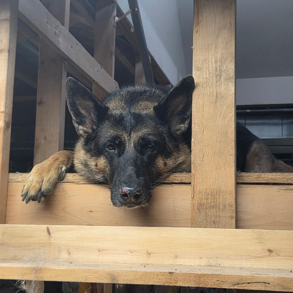 Nora - Home to Home — thumbnail 3