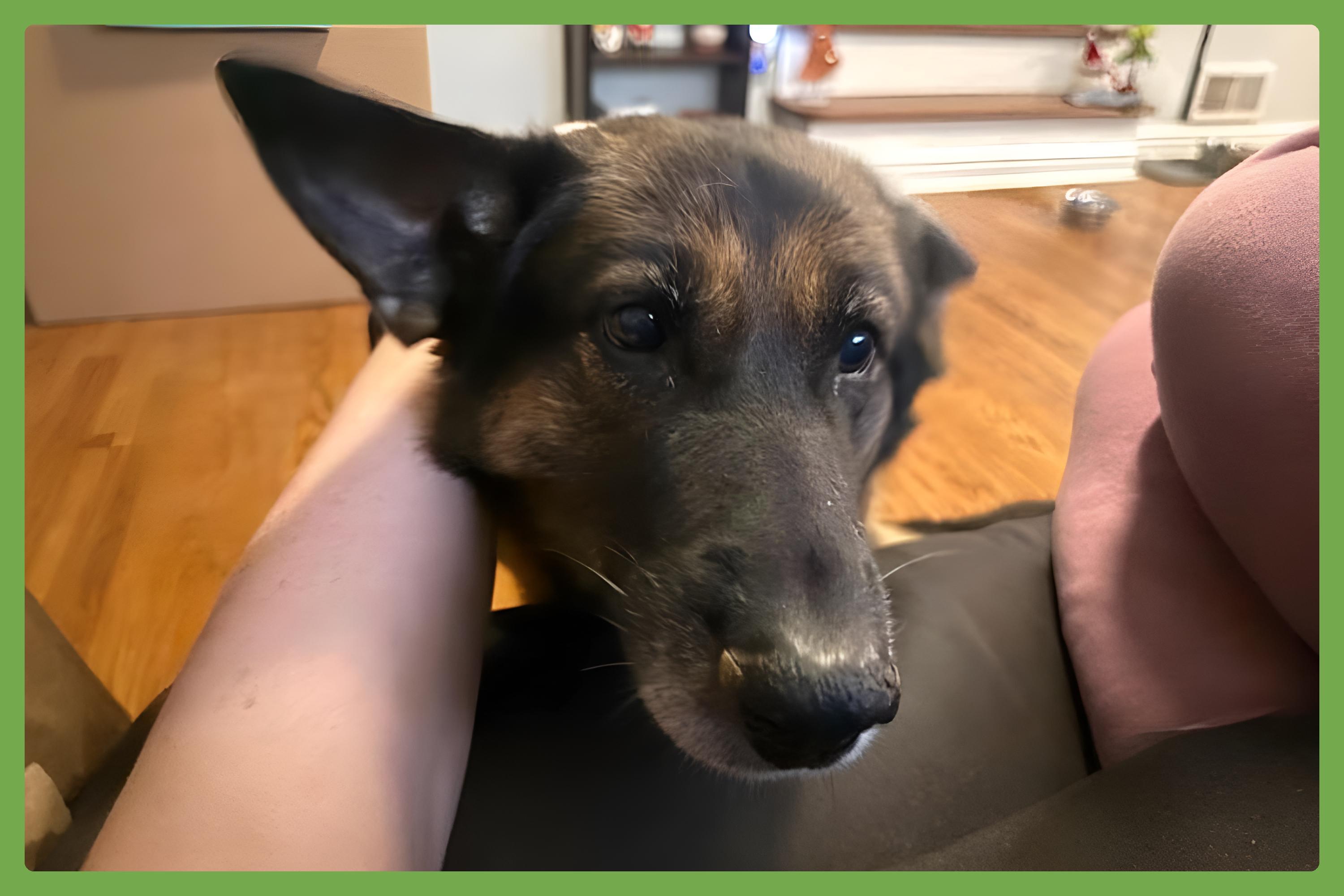 Sweetz — thumbnail 2