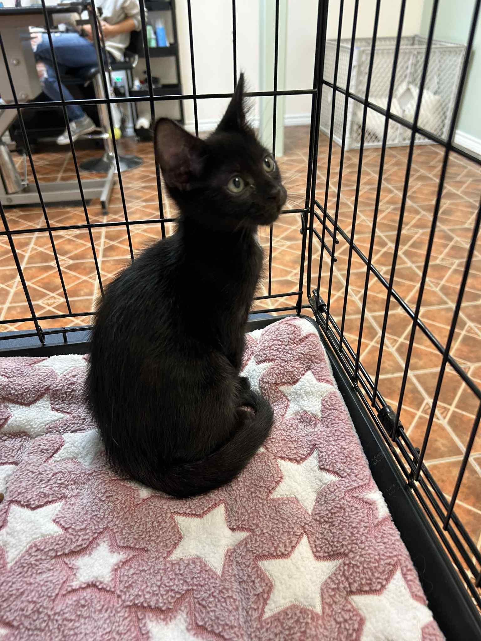 Lucky13 and Flicker (Bonded pair)