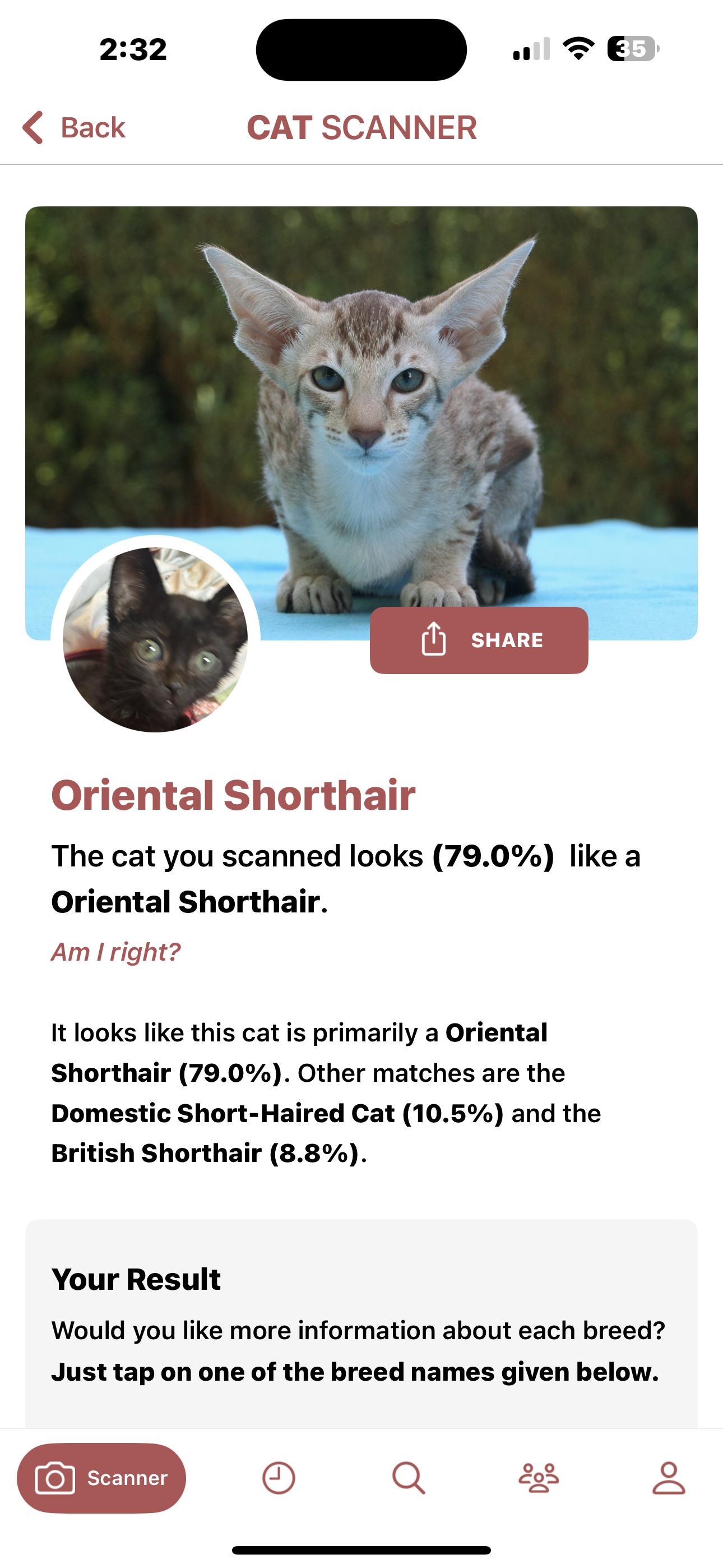 Enlarge Fig, a Adopted mixed breed in Lancaster, CA image 5/5