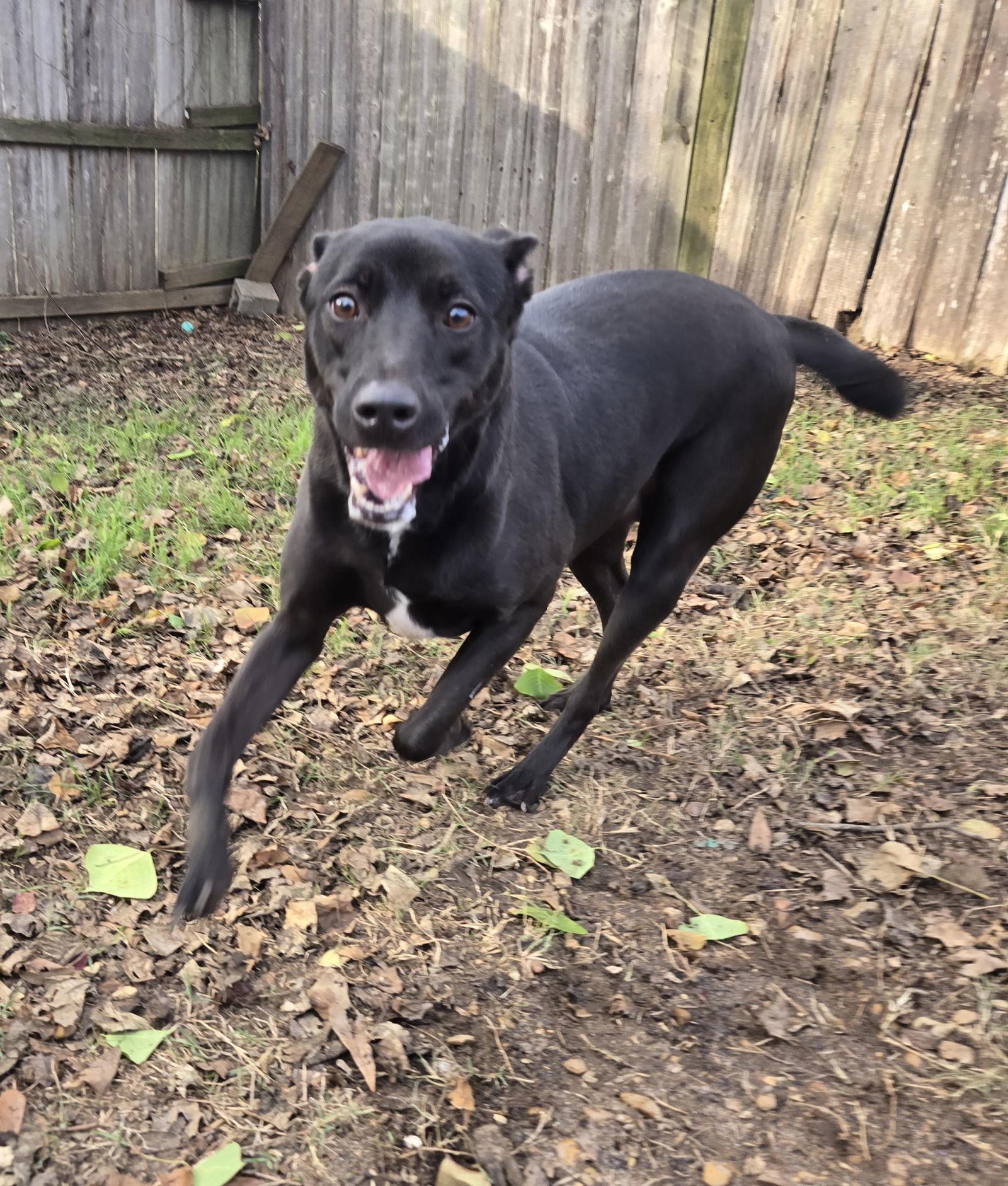 Ella — thumbnail 3