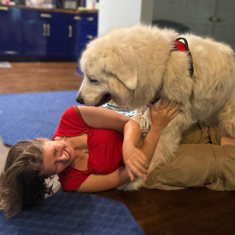Enlarge Snowball A., a ADOPTABLE Great Pyrenees in Atlanta, GA image 6/6
