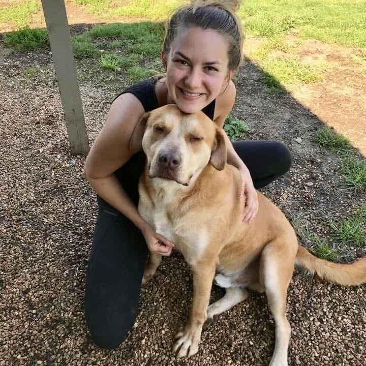 Enlarge Damon, a Adoptable Mixed Breed in Southaven , MS image 2/6