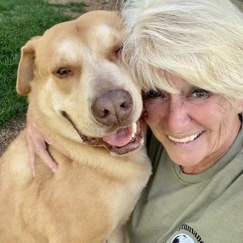 Enlarge Damon, a Adoptable Mixed Breed in Southaven , MS image 3/6