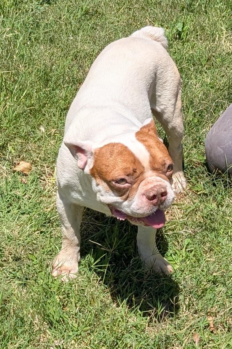 Alvin - Phoenix area 3