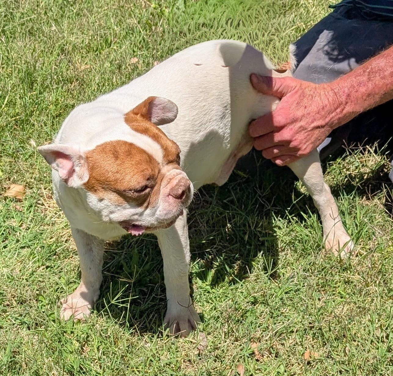 Alvin - Phoenix area