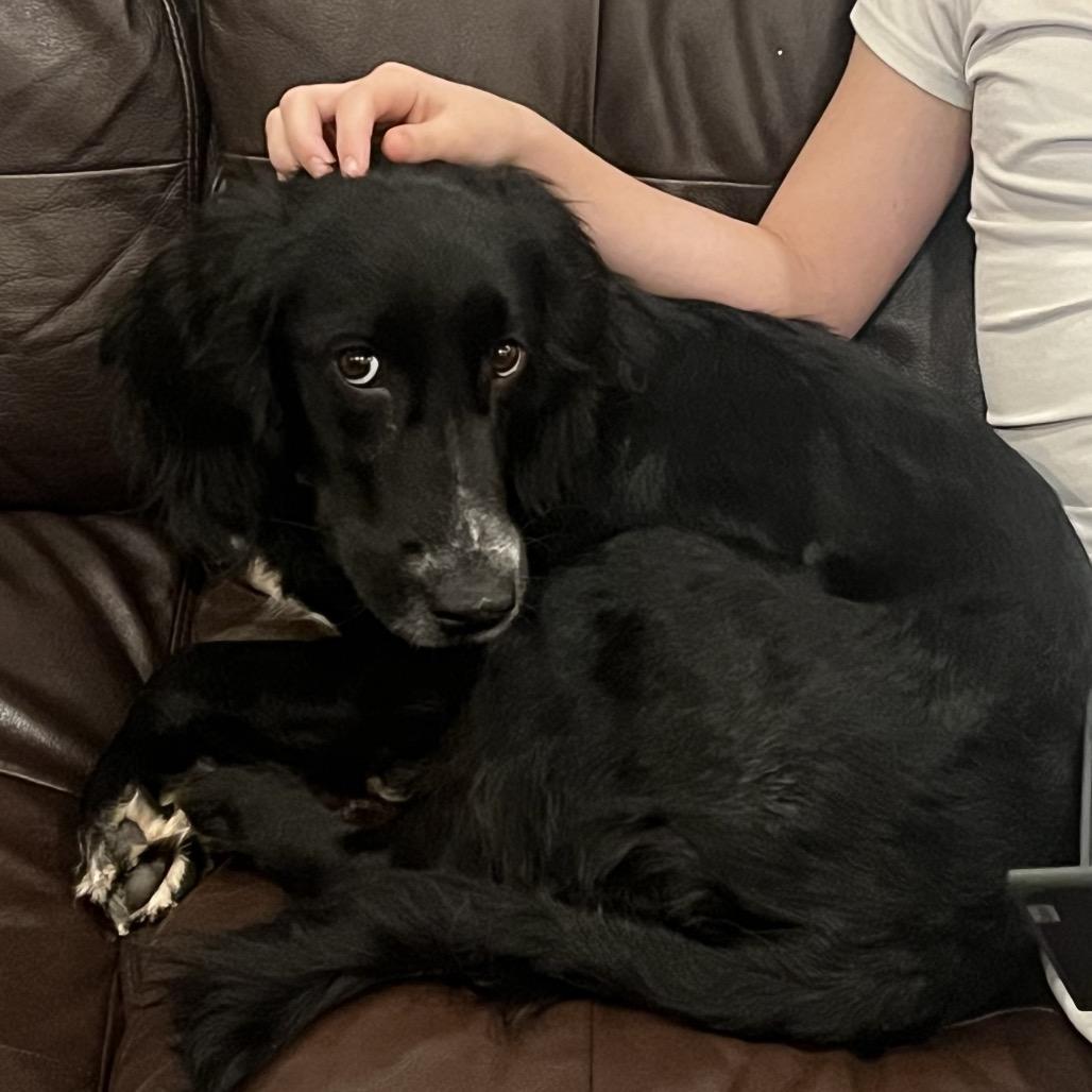 Grinch Toes thumbnail 2