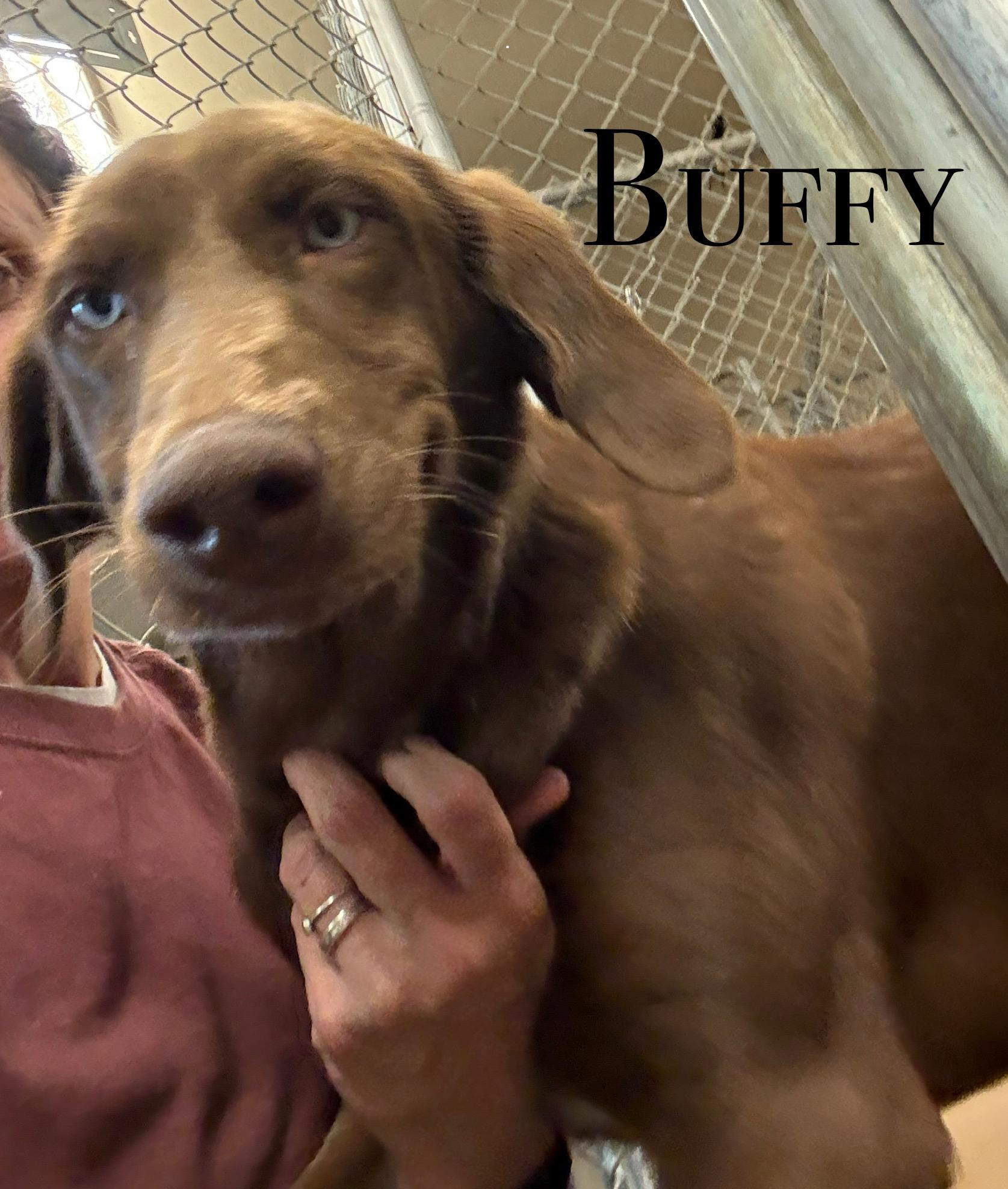 Buffy
