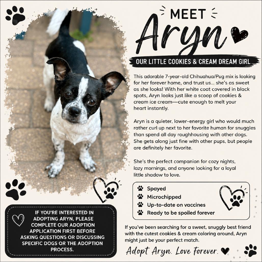 Aryn, a Adoptable mixed breed in Katy, TX image 1/6