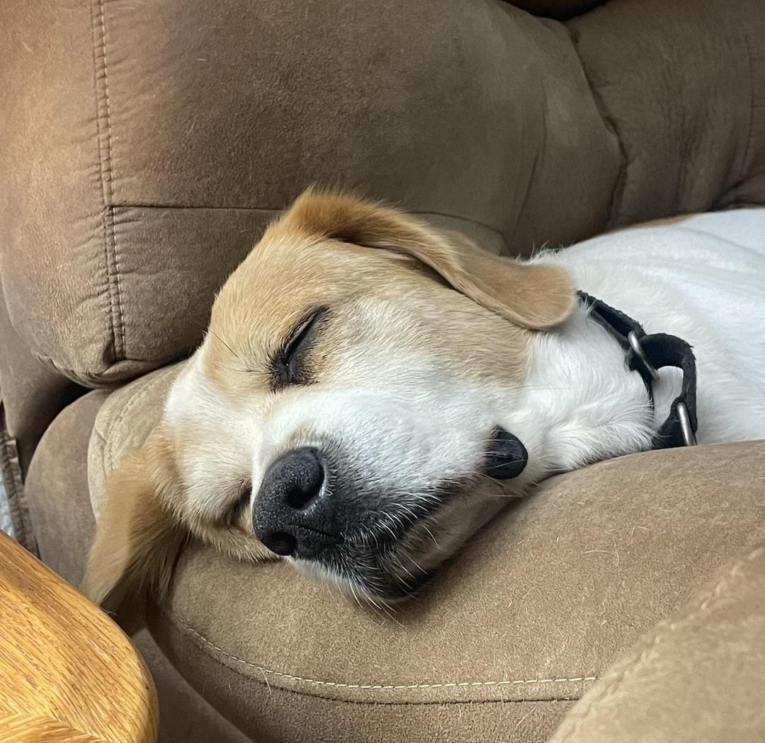 Shiloh — thumbnail 5