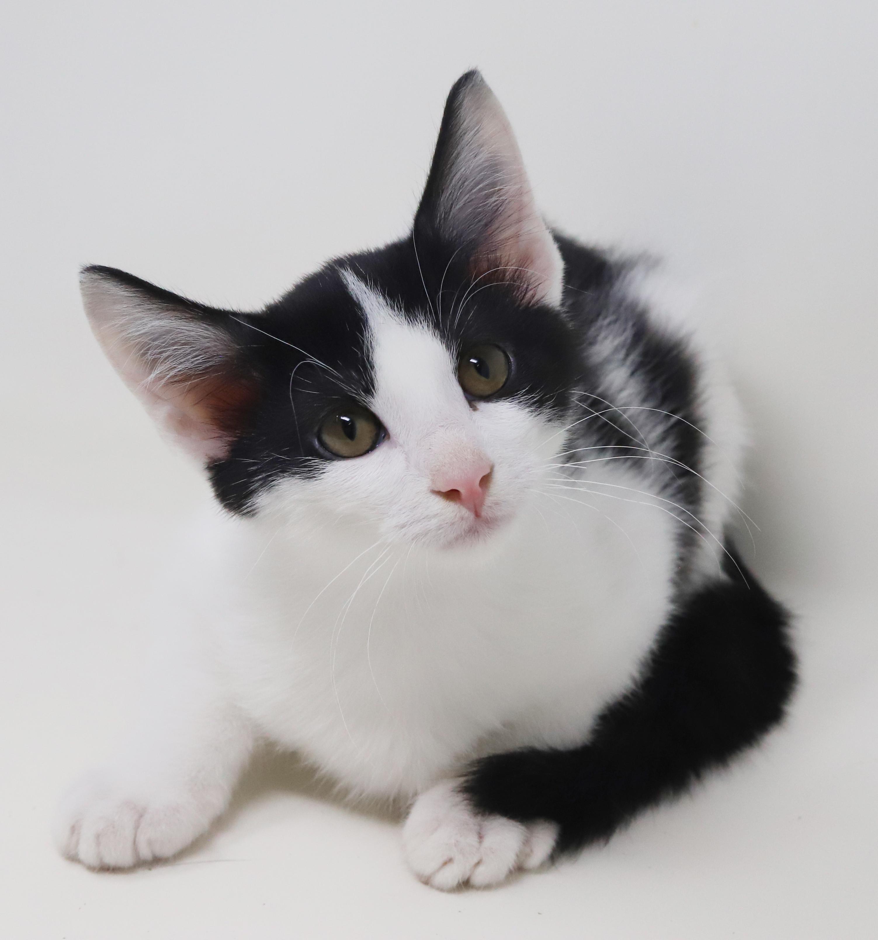 Ord Is Only The thumbnail 2