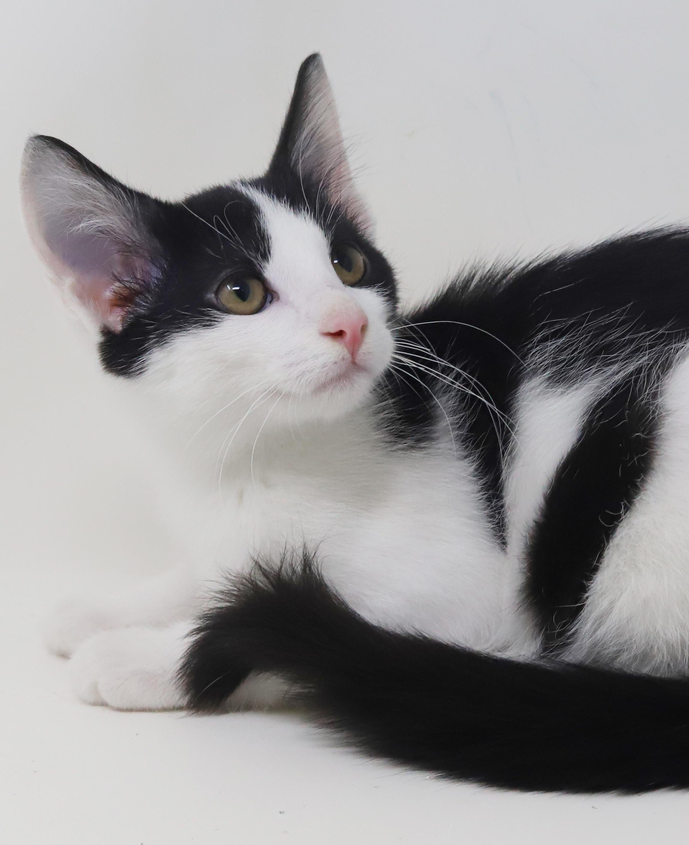 Ord Is Only The thumbnail 5