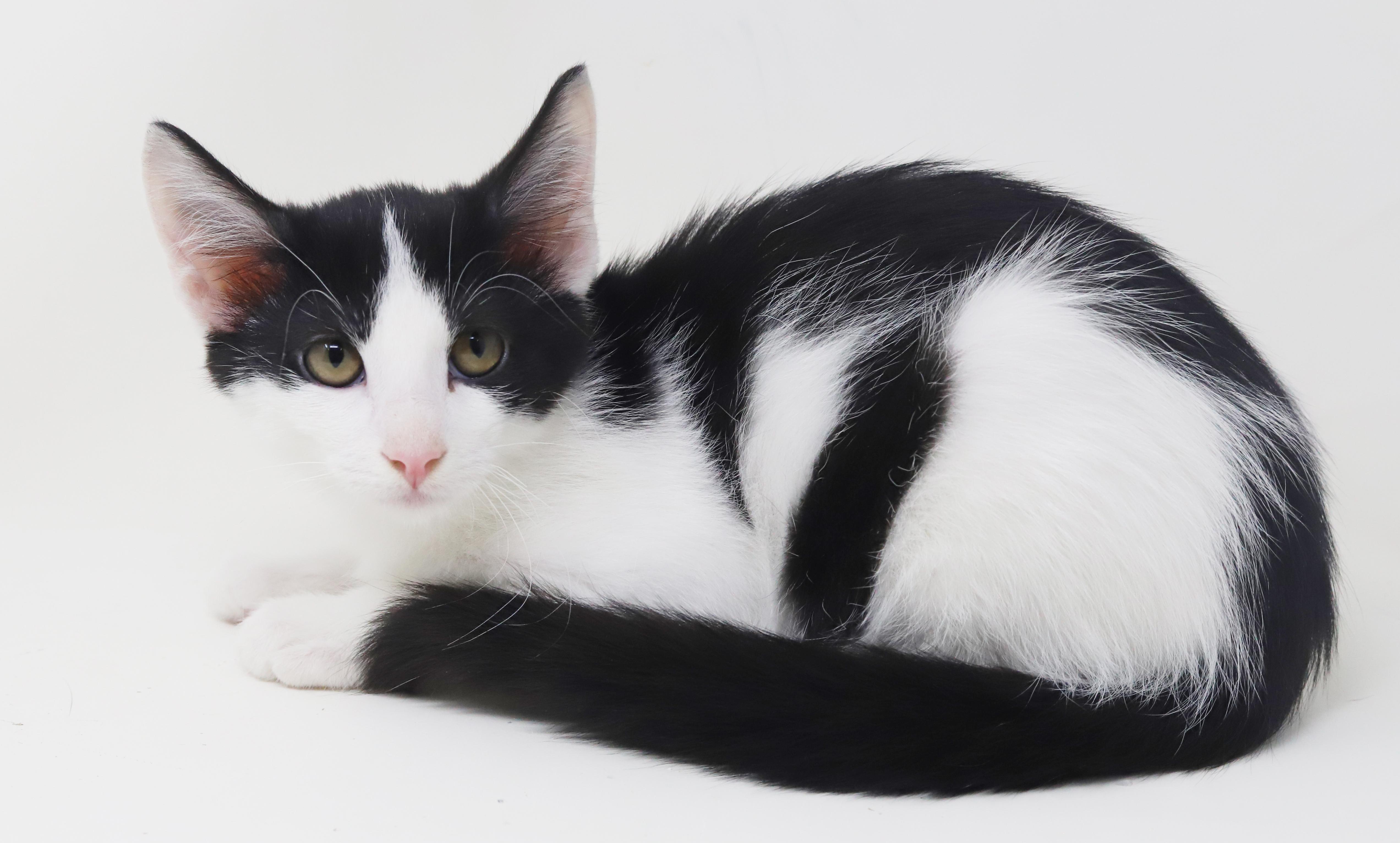 Ord Is Only The thumbnail 6