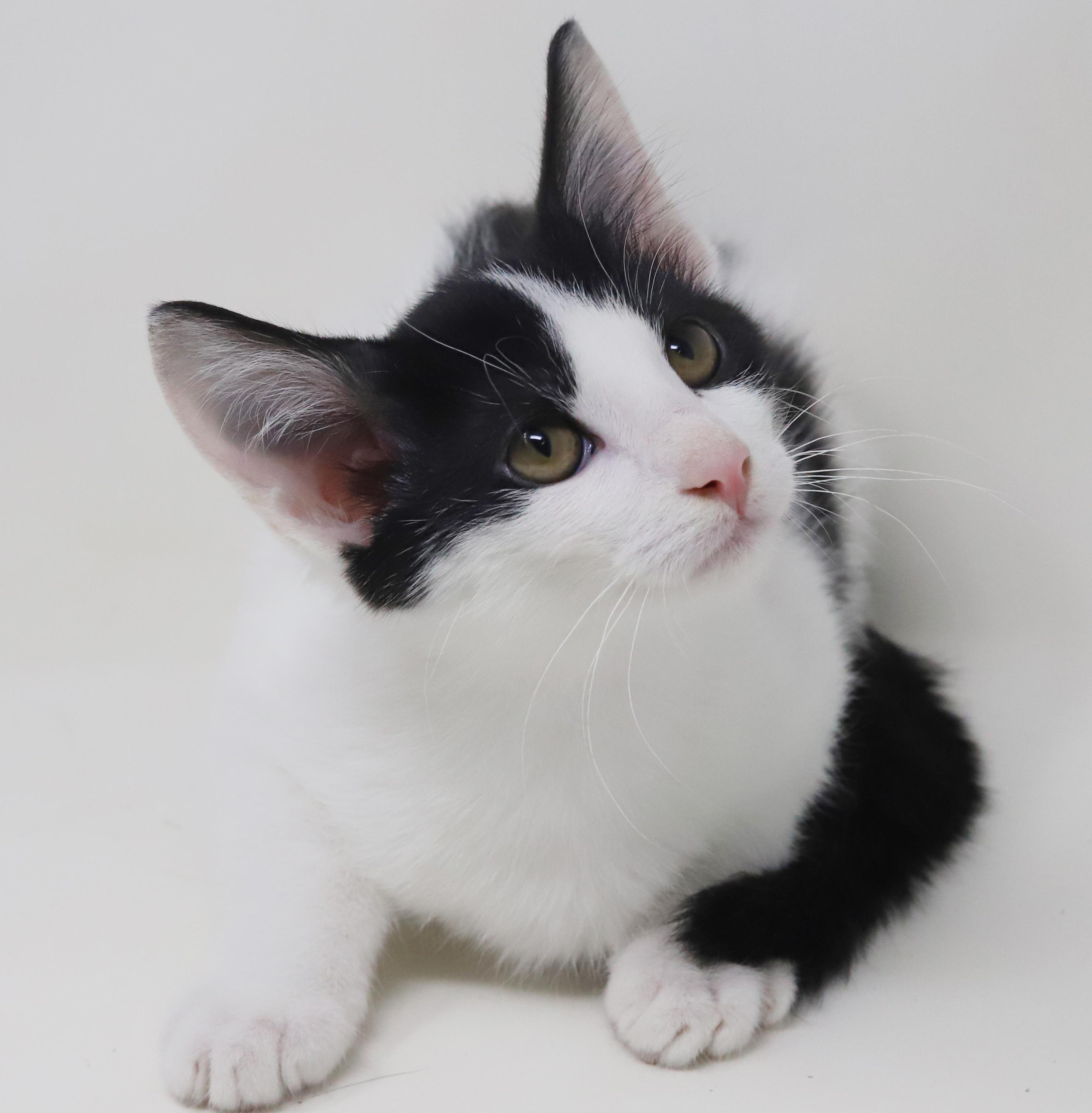 Ord Is Only The thumbnail 3