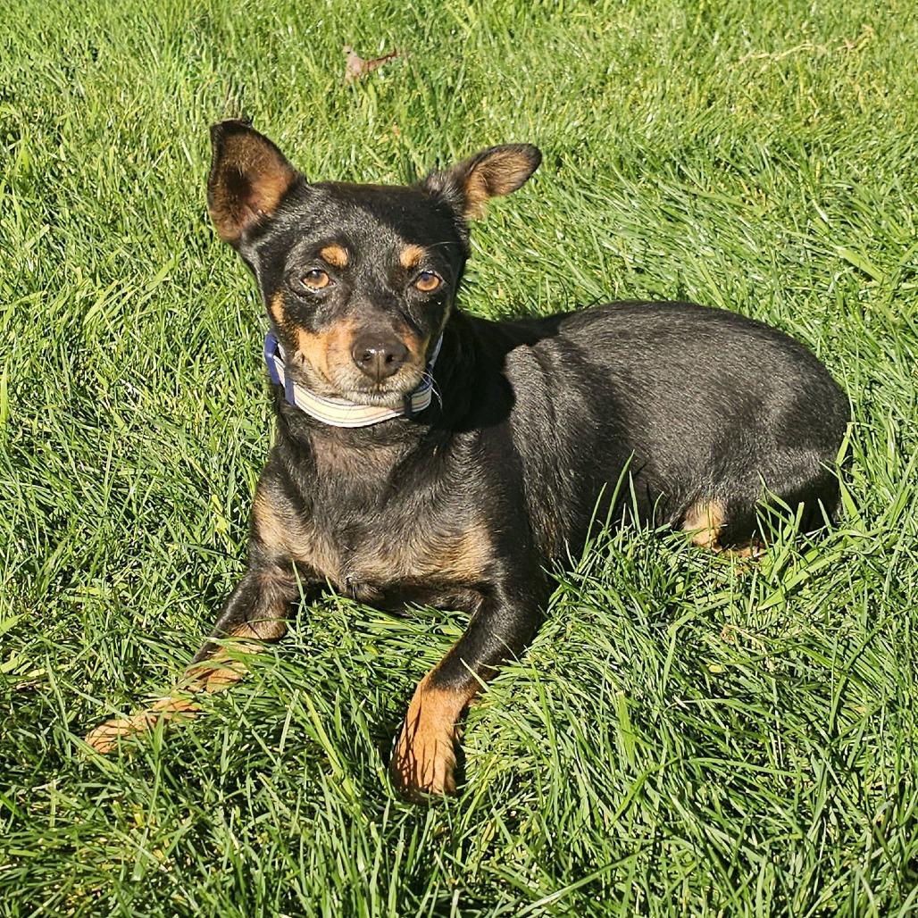 Paco — thumbnail 2