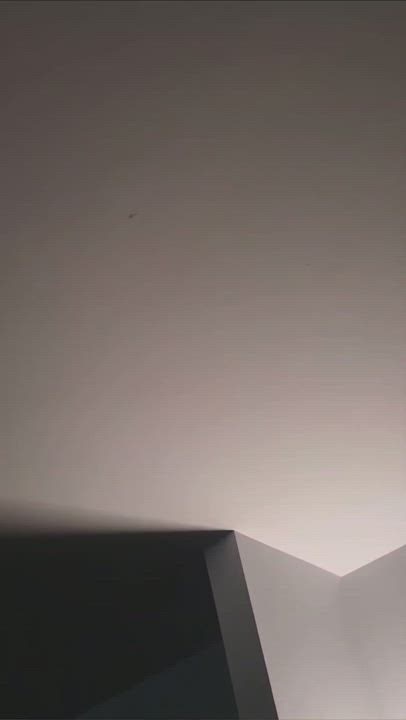 Enlarge Gravy, a Adopted Domestic Short Hair in Beaufort, MO video 12/12