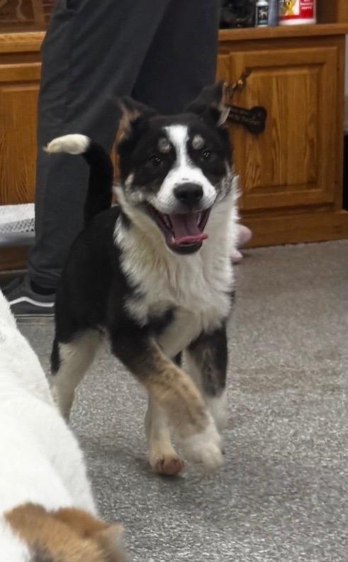 Mickey — thumbnail 5