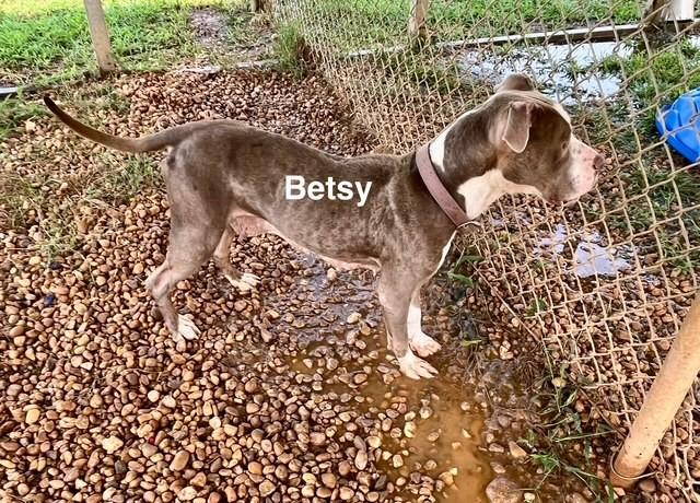 Besty