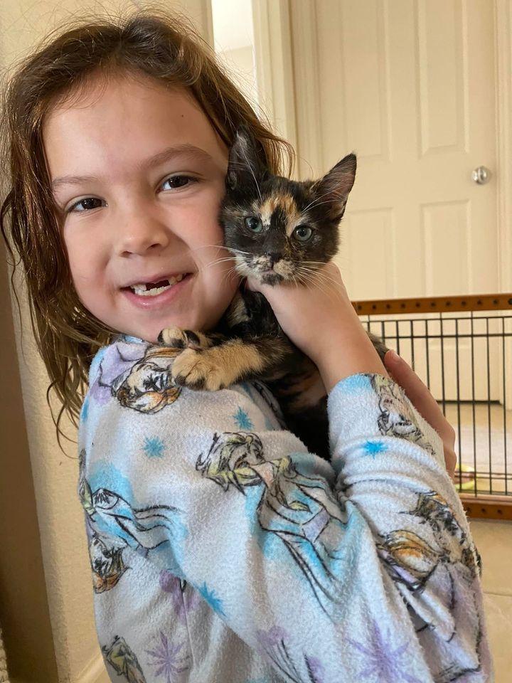 Enlarge Pumpkin (Napa Christina), a Adoptable mixed breed in Napa, CA image 2/3