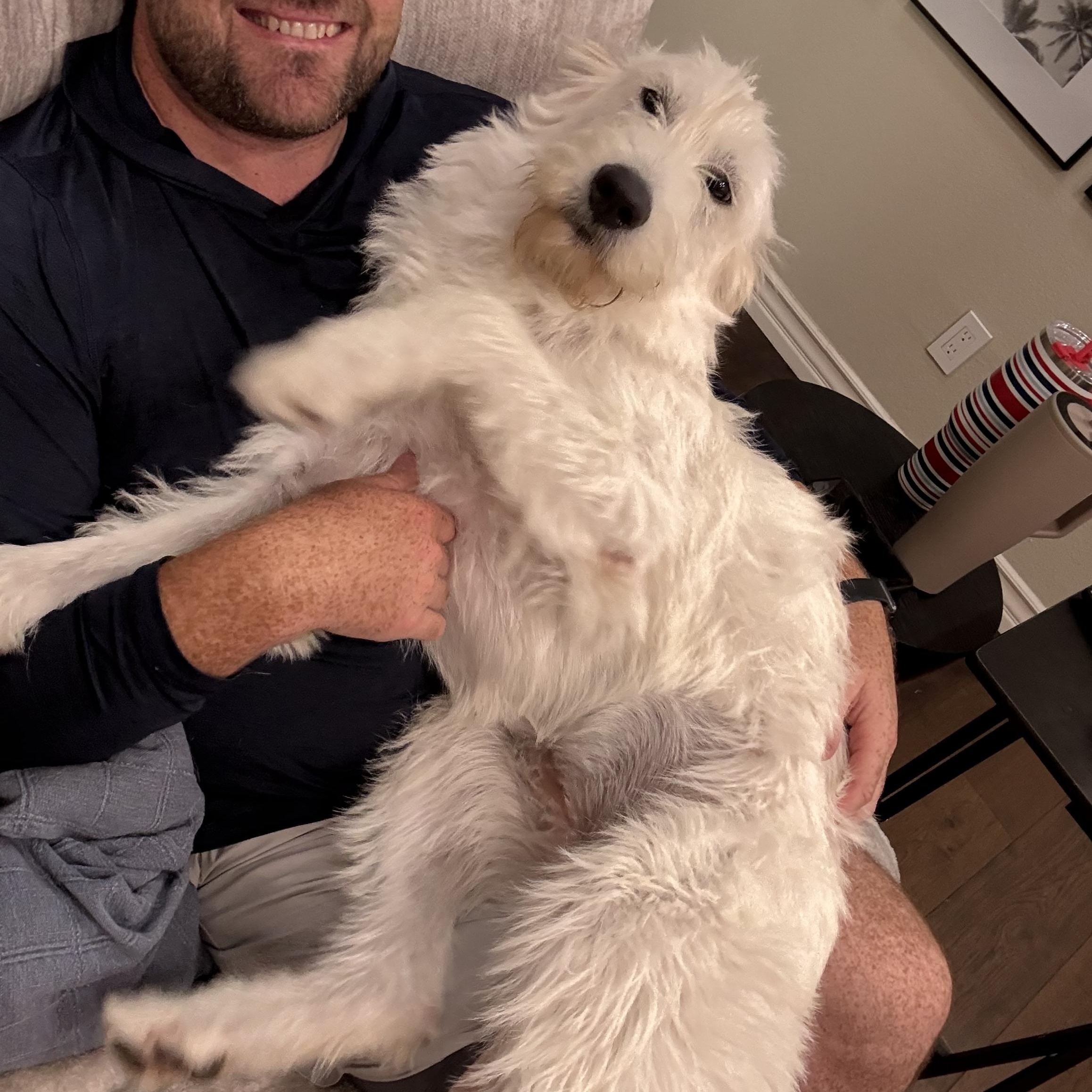 Piper~ The Professional Cuddler thumbnail 2