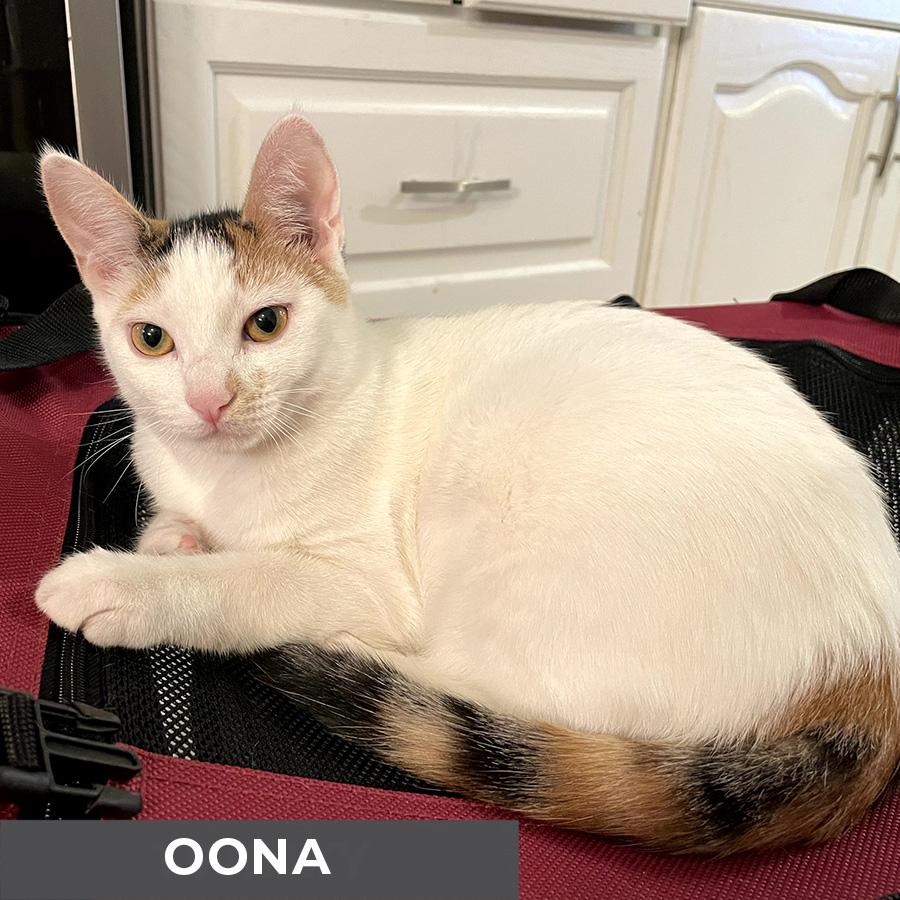 Oona