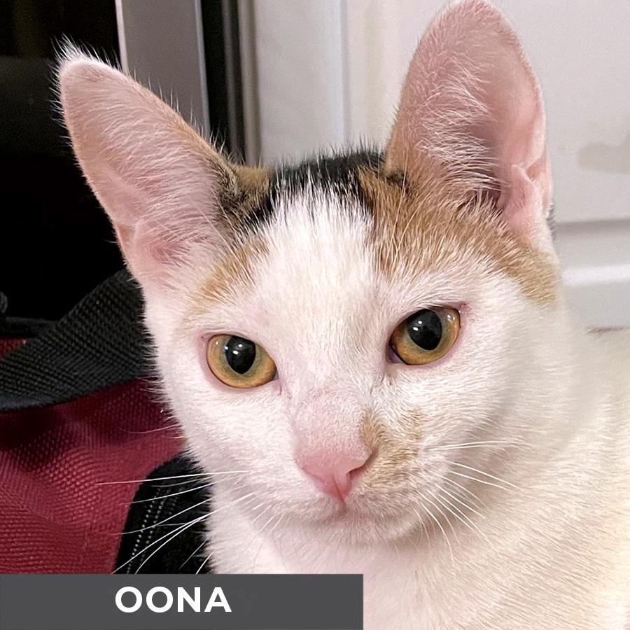 Oona