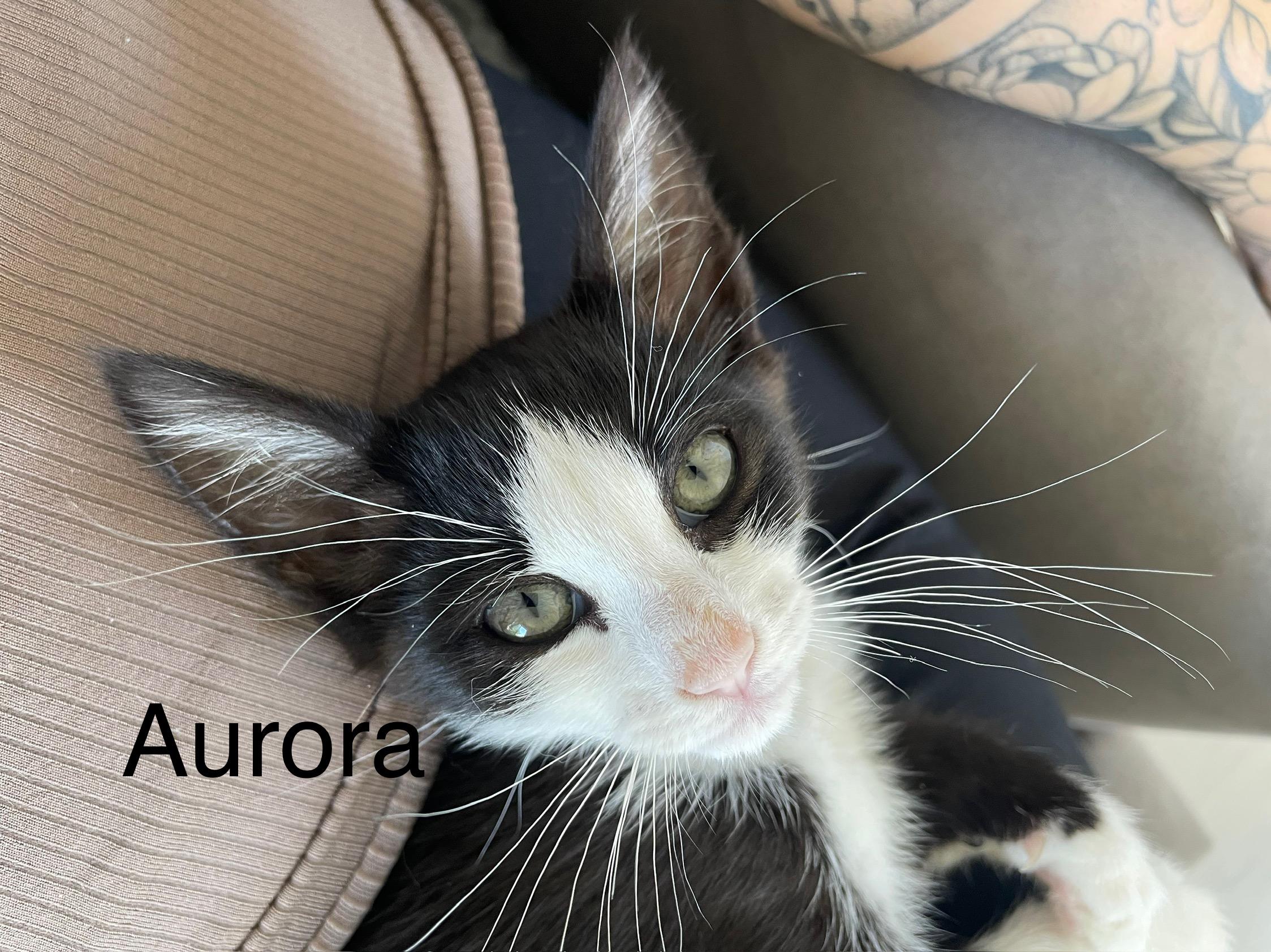 Aurora