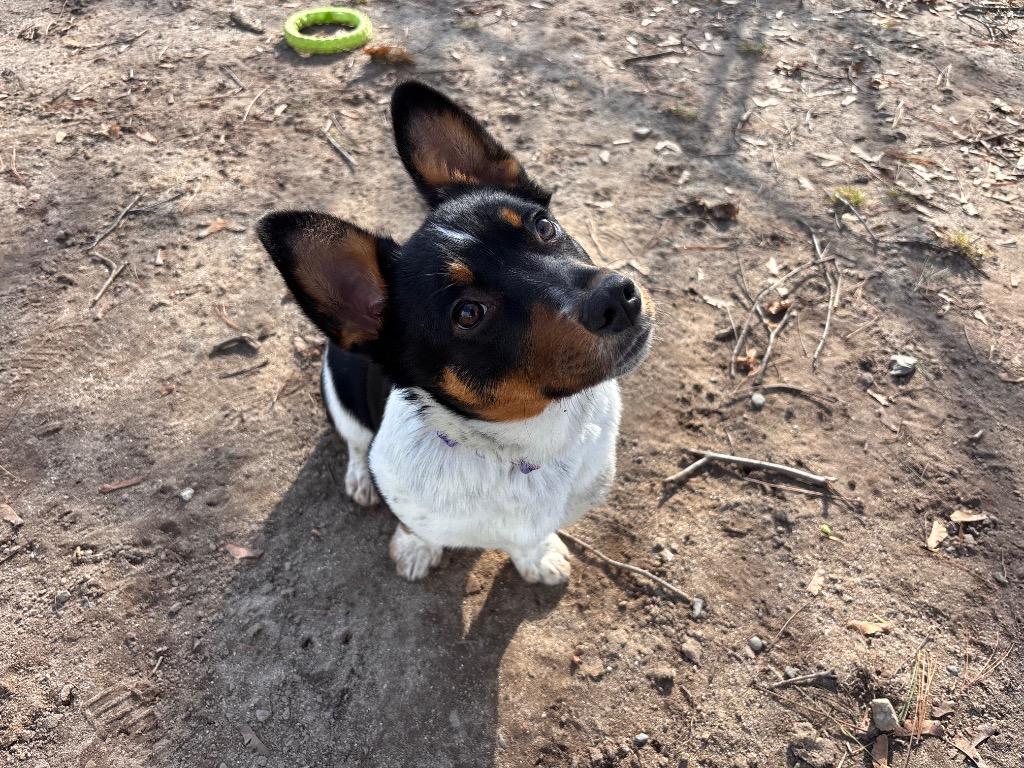 Kiss — thumbnail 2