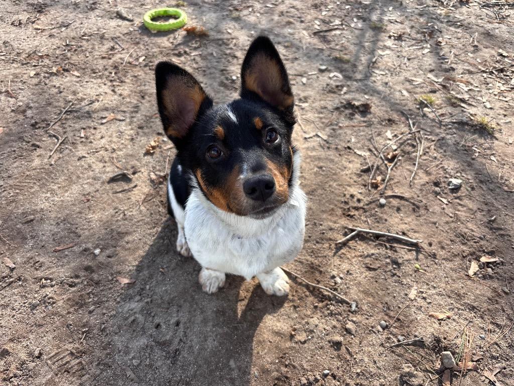 Kiss — thumbnail 3