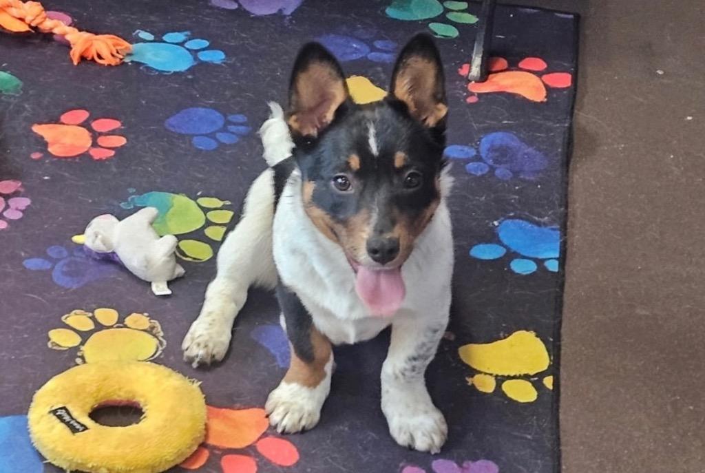 Kiss — thumbnail 4