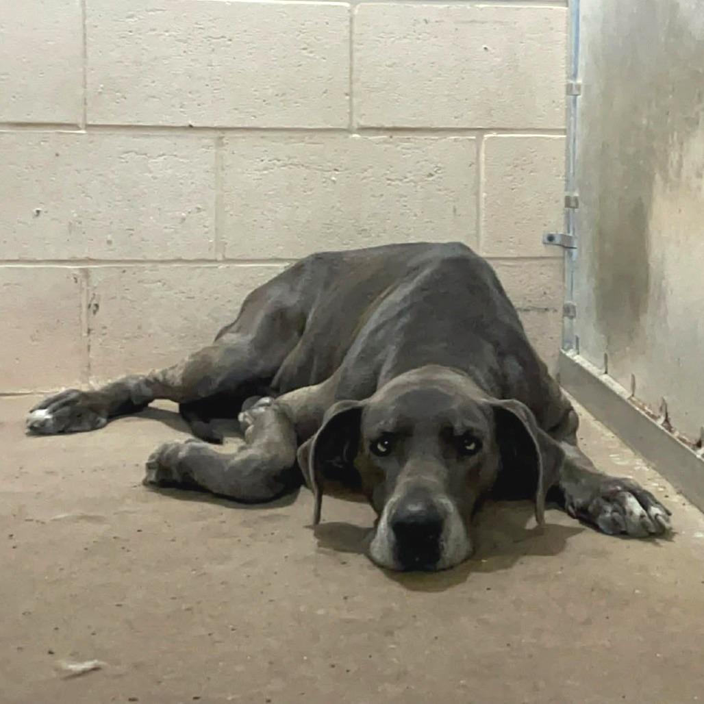 Mackenzie — thumbnail 2