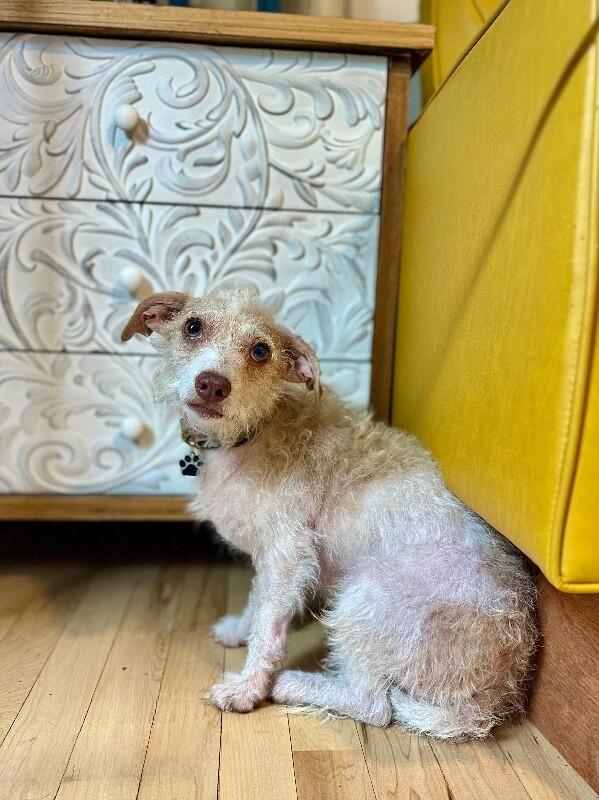 Oscar Mayer — thumbnail 4