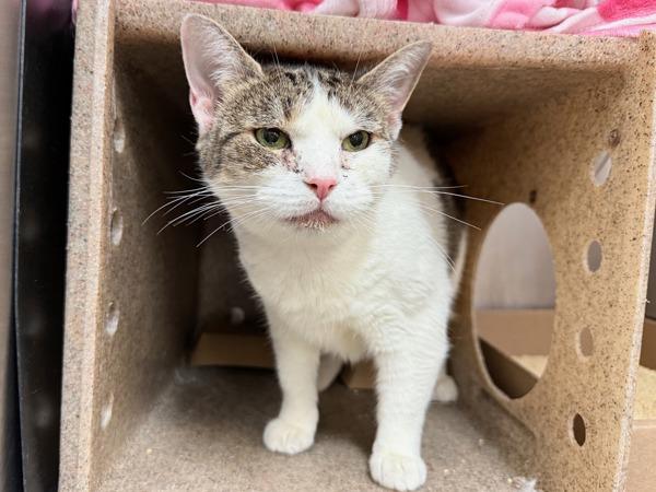 Matilda — thumbnail 5