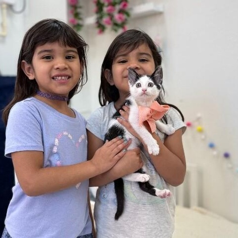 Dot Teeny Tiny Heart Stealer — thumbnail 4