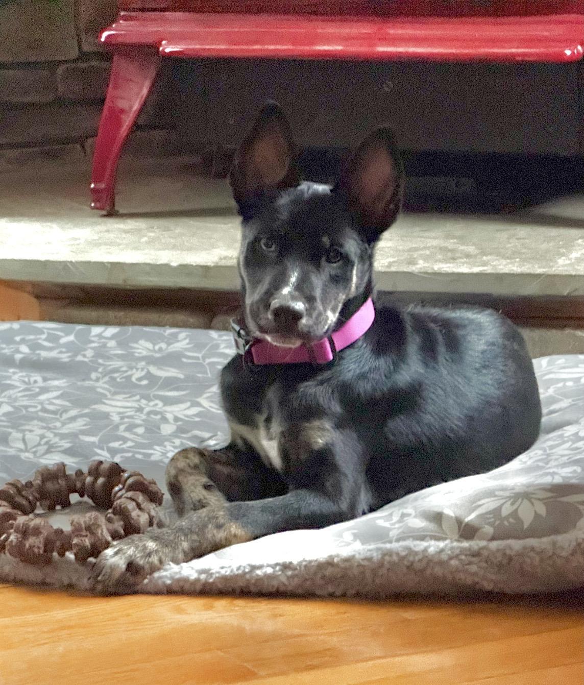 Chloe — thumbnail 5