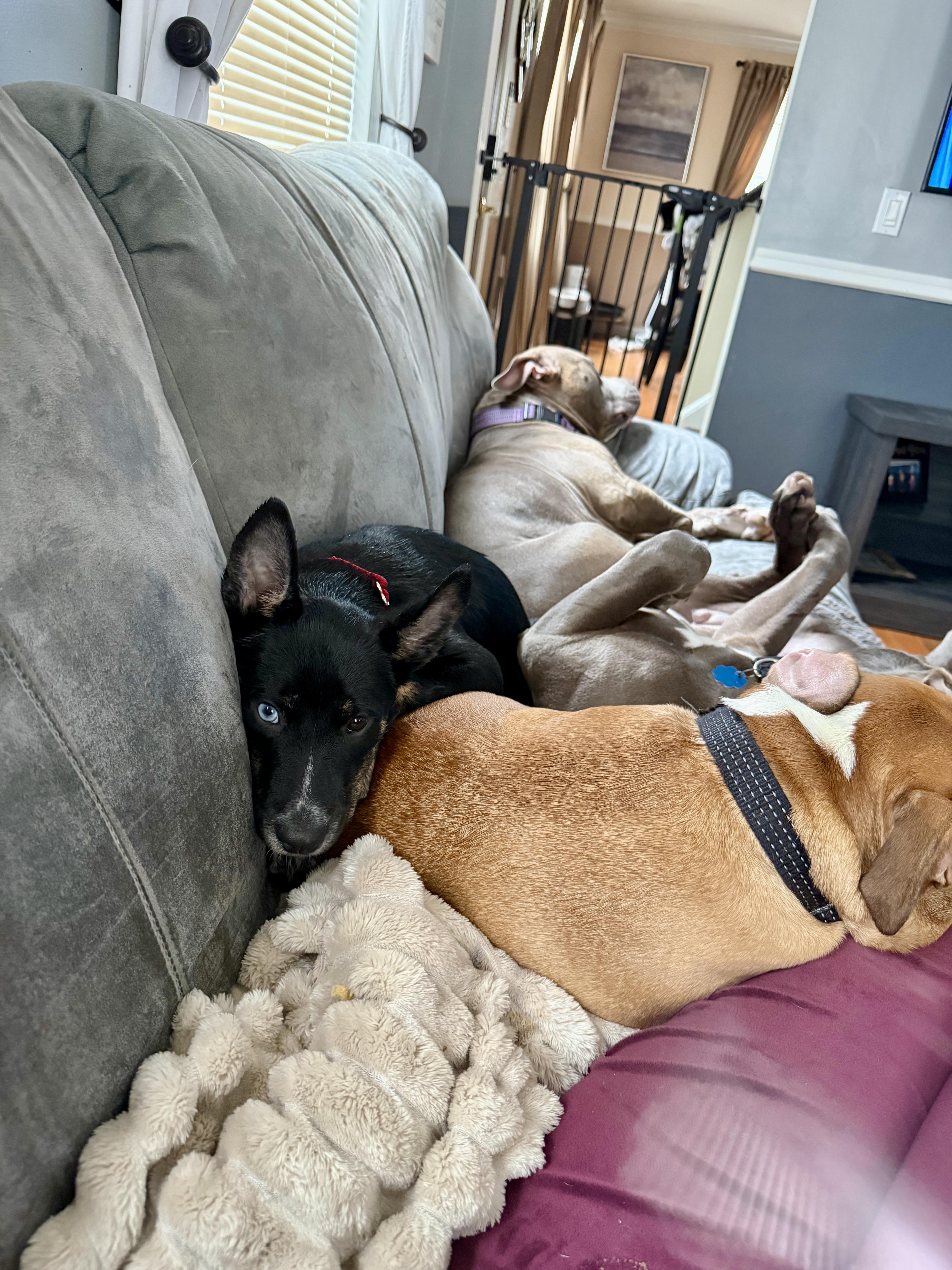 Chloe — thumbnail 6