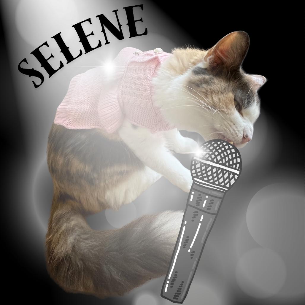 Enlarge SELENE, a Adoptable mixed breed in Kyle, TX image 6/6
