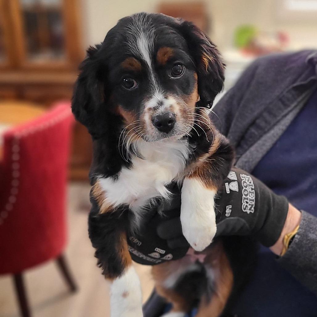 Freckles thumbnail 2