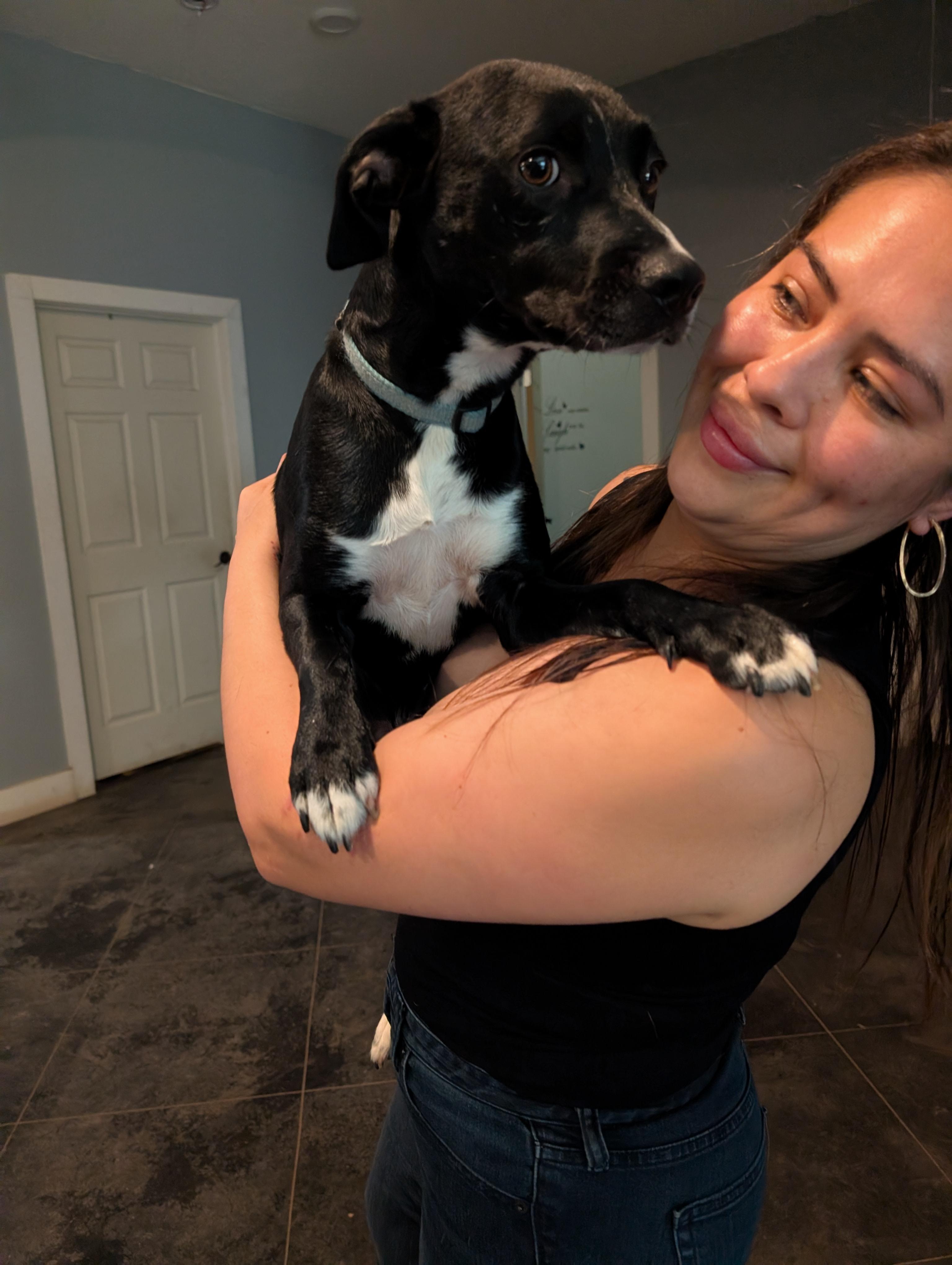 Enlarge Astro (27lb), a ADOPTABLE mixed breed in Austin , TX image 4/6