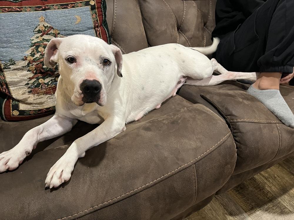 Winter — thumbnail 4