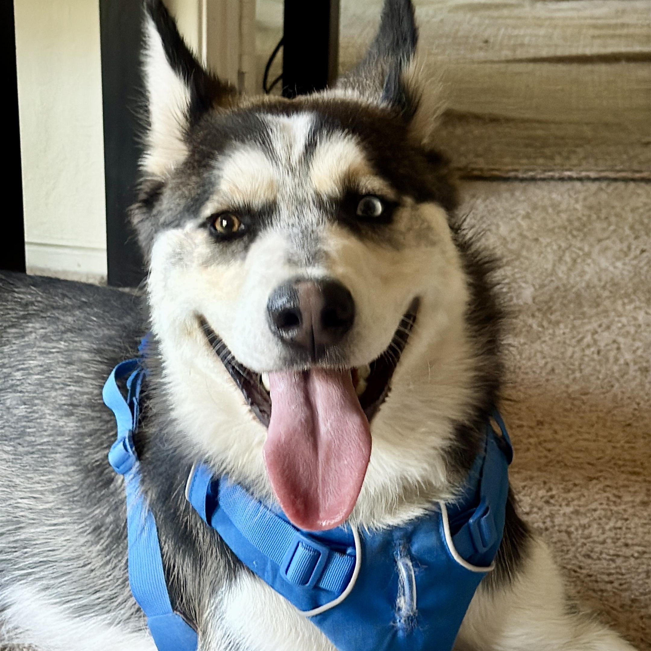 Chance photo 1