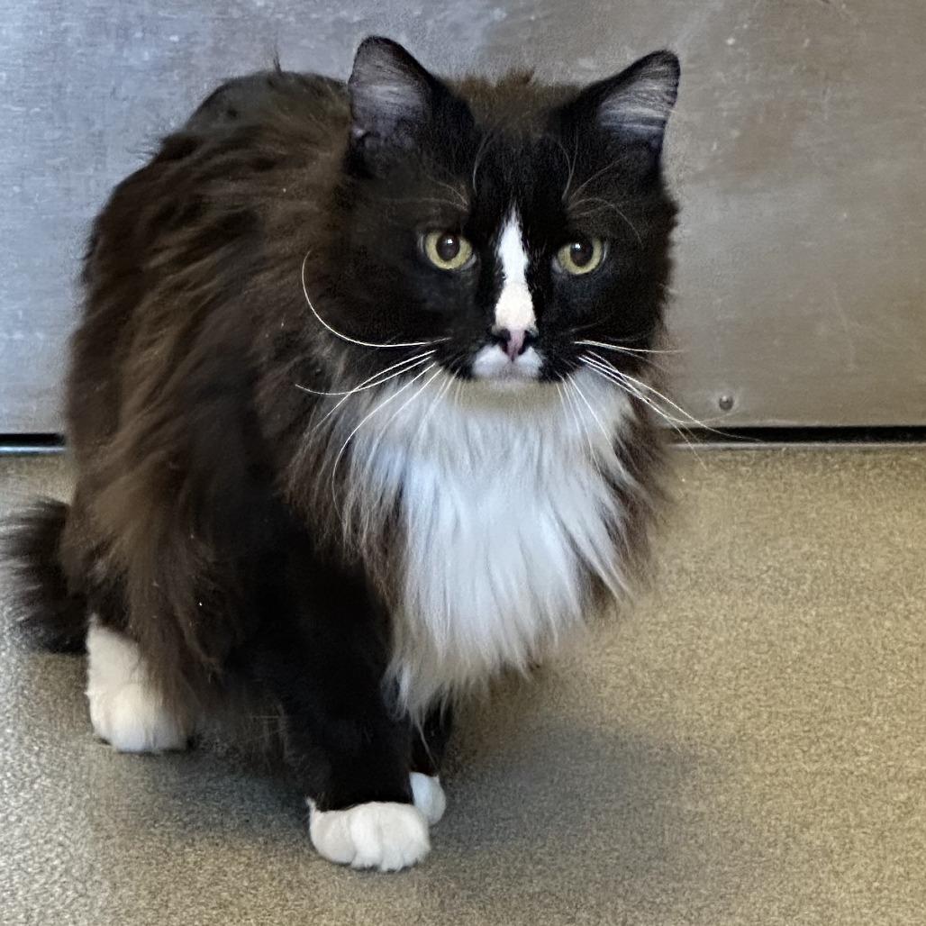 Monty — thumbnail 2